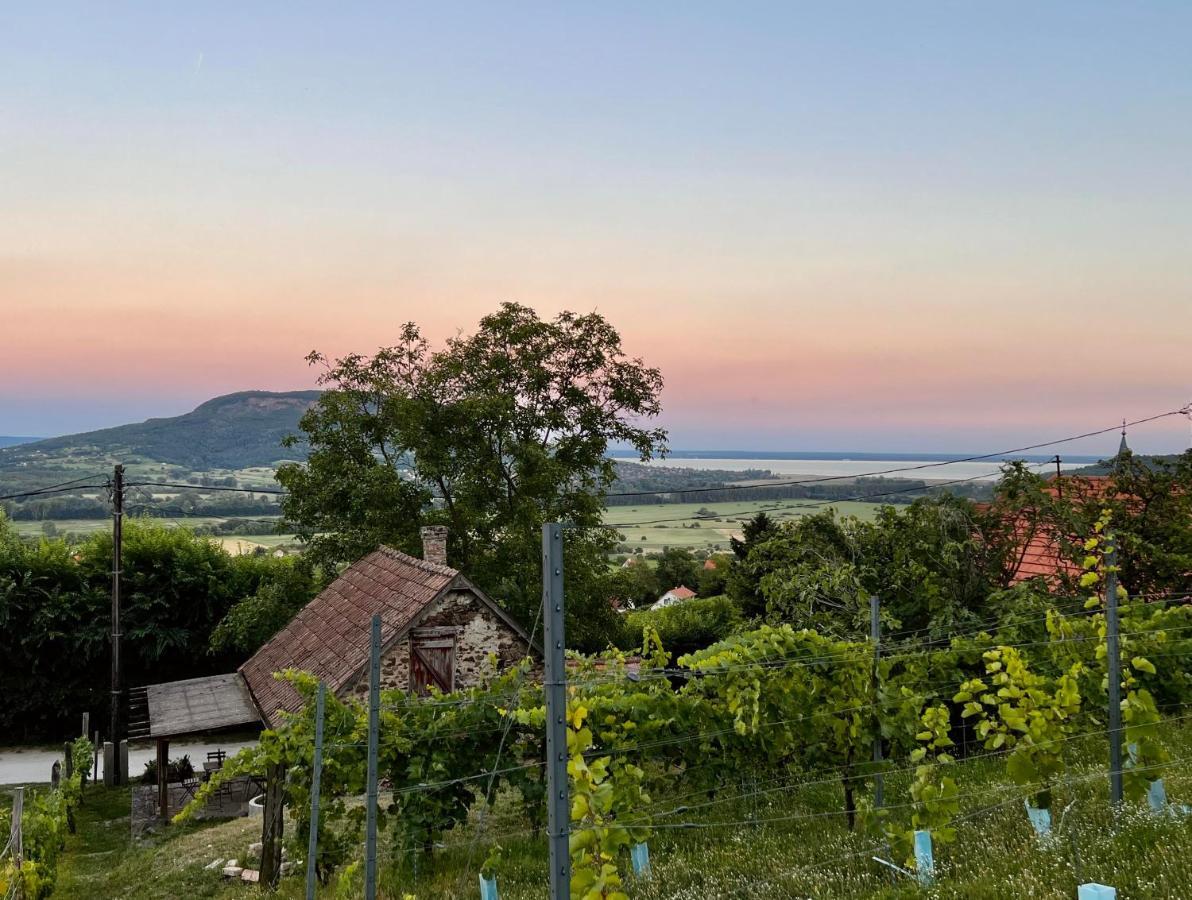 Foldi Balint Kuckoja Villa Hegymagas Bagian luar foto